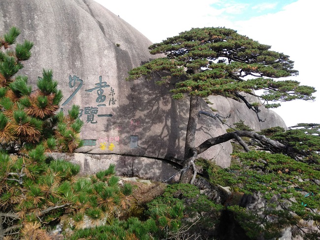 日登黃山，夜醉溫泉！